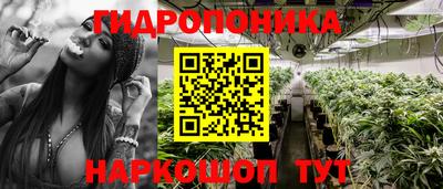 сатива Кулебаки